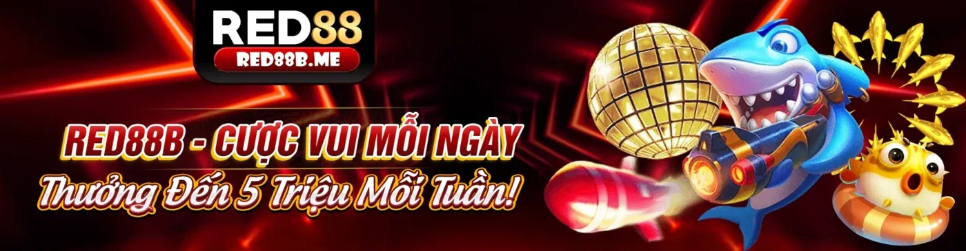 Tổng quan về mm8866, nền tảng cá cược trực tuyến hàng đầu